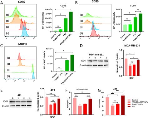 In Vitro Immune Modulation Assay AC Mature Markers On Dendritic Cells
