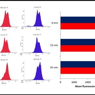 Flow Cytometric Analysis Of R G Efflux Left Panel Represents