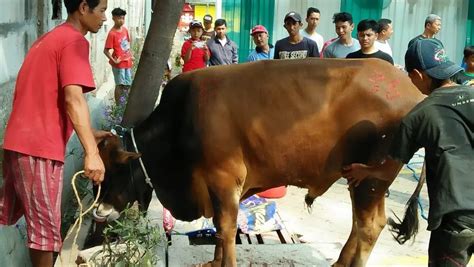 Meriahnya Idul Adha Bersama Keluarga Besar Sismadi Group