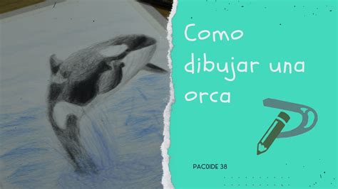 Como Dibujar Una Orca Youtube