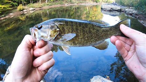 Catching Smallmouth Bass In The Appalachian Mountains Youtube