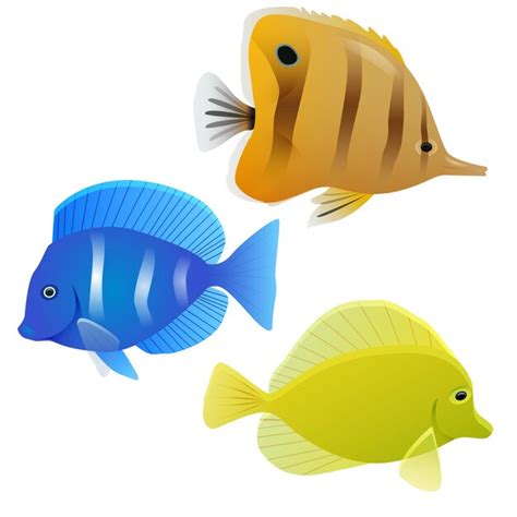 Premium Vector Set Of Tropical Fish Vector Element For Your Design