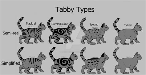 Tabby Variations By Ravens Light On Deviantart