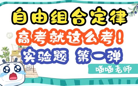 自由组合定律【大题】刷题儿题儿 — 高一到高三都能看的高考真题 哔哩哔哩