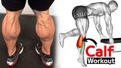 Best Exercise Calves Workout Calf Raises Youtube