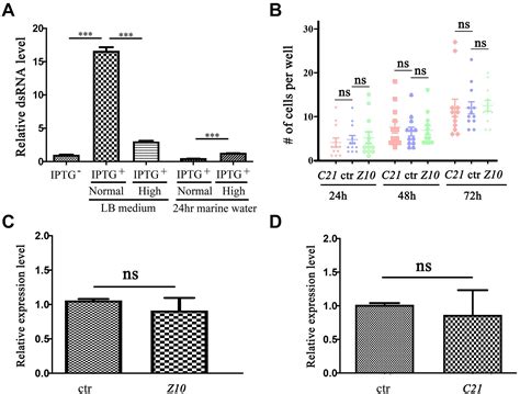 Frontiers Morpholino Mediated Knockdown Of Ciliary Genes In Euplotes