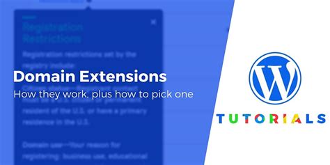 Domain Extensions An Essential Guide How To Choose One And Why