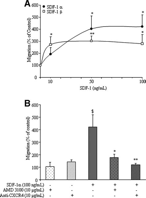 Functionality Of The Cxcr Sdf Axis In Human Adipose Tissue A