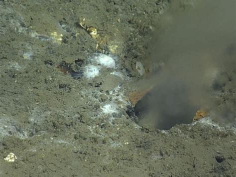 Researchers Find A Hole In The Pacific Ocean’s Depths