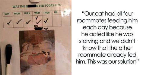 50 Posts From People Who Shamed Their Roommates Online And Rightfully