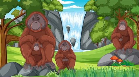 Premium Vector Orangutan In Forest Or Rainforest Scene With Many Trees