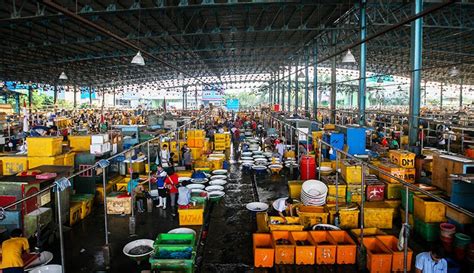 Jejak Sejarah Muara Angke Dari Kerajaan Banten Hingga Pelabuhan Terpadu