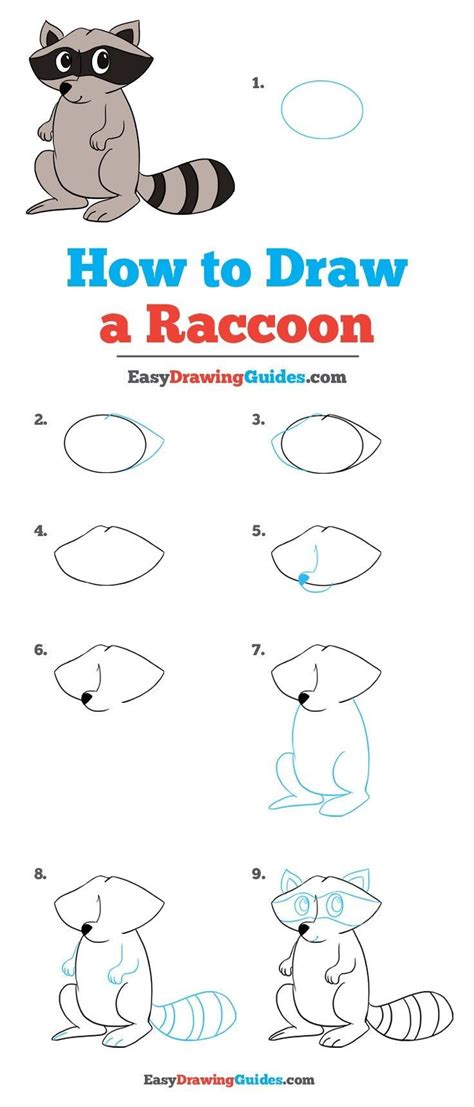 How To Draw A Raccoon - Really Easy Drawing Tutorial - FinetoShine