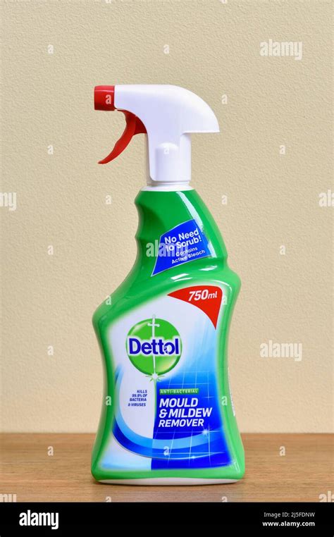 Dettol Anti Bacterial Mould And Mildew Remover 750ml No Need To Scrub Contains Active Bleach