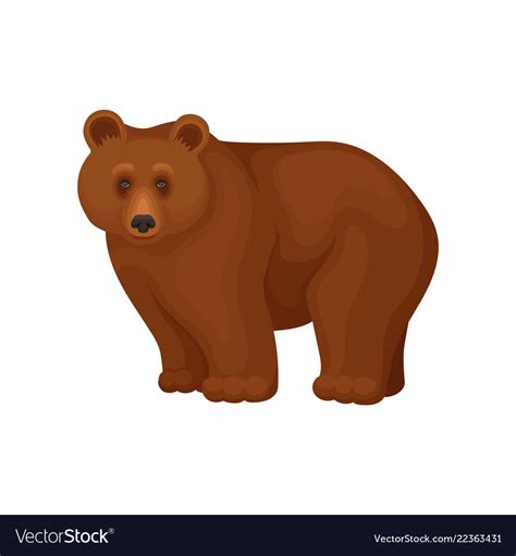 Brown Bear Standing