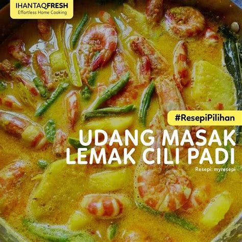 Resepi Pilihan Udang Masak Lemak Cili Padi Ihantaqmall