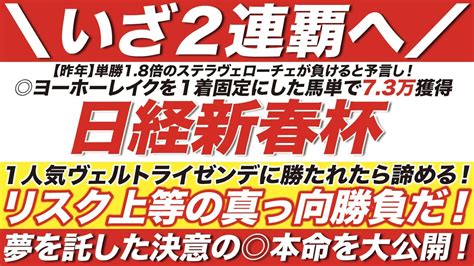 日経新春杯 2023【予想】ヴェルトライゼンデに勝たれたら諦める！リスク上等の真っ向勝負だ！夢を託した決意の 本命を大公開！ 競馬動画まとめ