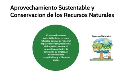 Aprovechamiento Sustentable Y Conservacion De Los Recursos Naturales By