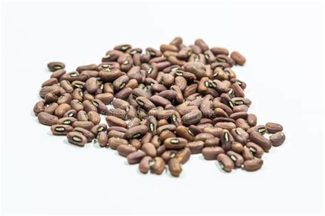 Yard long bean seeds stock photo. Image of bean, vegetable - 36015952