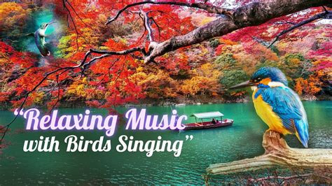 Relaxing Music With Birds Singing Beautiful Piano Music Soothing