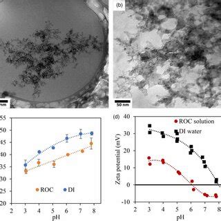 Aggregates Characterization A And B Cryo Tem Images C Mean