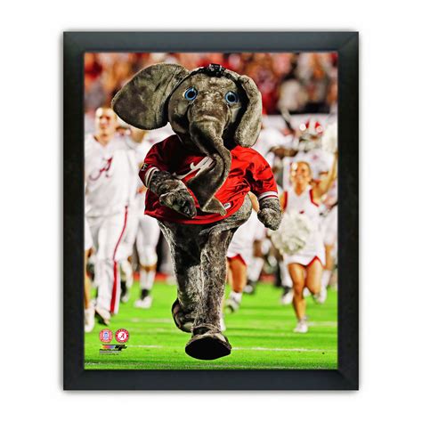 Crimson Tide Mascot