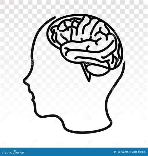 Human Brain Or Mind Side View Line Art Vector Icon On A Transparent