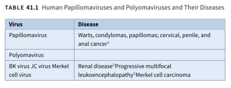 Polyoma And Papilloma Naked Dna Viruses Flashcards Quizlet