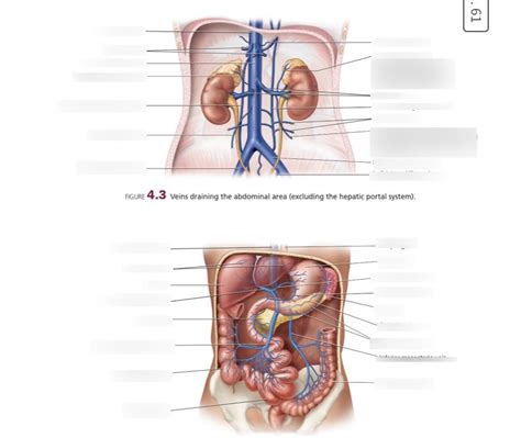 Bio Lab Labelling Diagram Quizlet