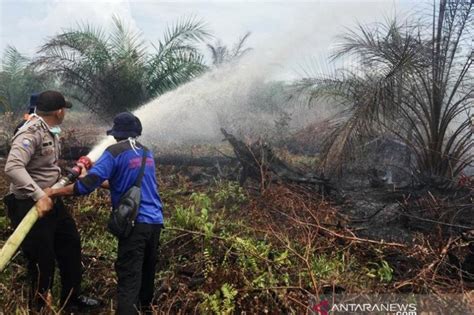 Lahan Gambut Seluas Dua Hektare Di Nagan Raya Aceh Terbakar Antara News