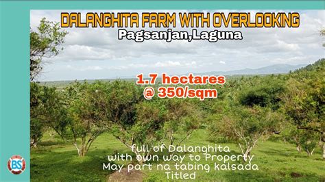 P 104 1 7 Hectares 350 Sqm Farm Lot With Overlooking In Pagsanjan