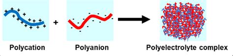 Polyelectrolyte Complex Formation Between Polycation And Polyanion Download Scientific Diagram