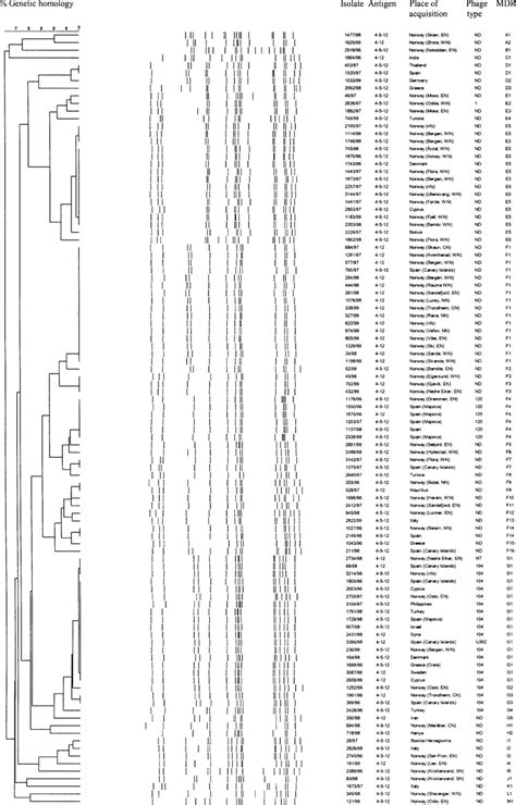 Dendrogram Based On Pfge Xbai Macrorestriction Profiles Mrps Of The