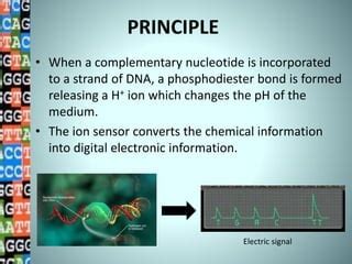 Ion Torrent Sequencing PPT