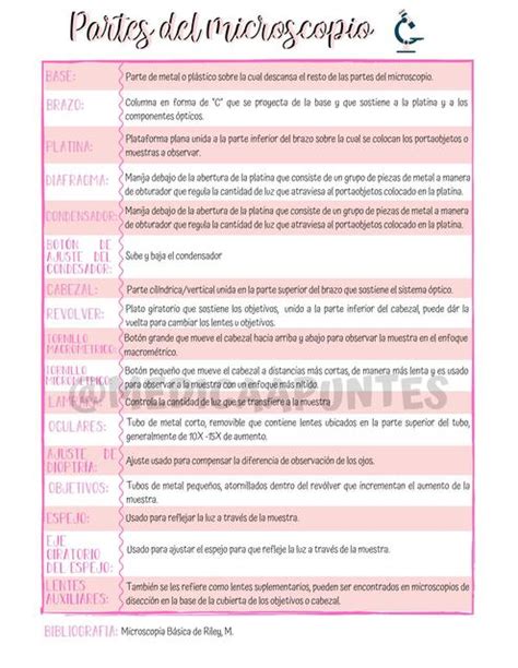 Partes Del Microscopio Rvinsh Shcn UDocz