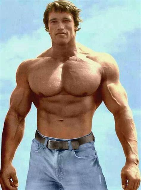 Ripped Motivation Abs Shredded Chest Bodybuilding Veins Arnold