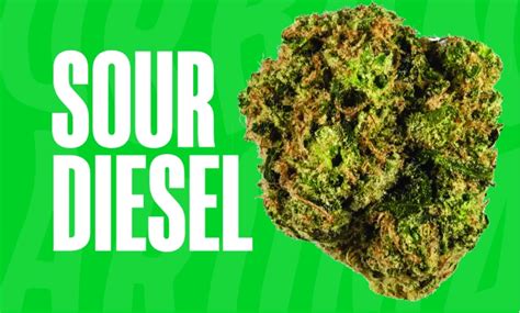 The Top 10 Most Popular Cannabis Strains in 2023: A Comprehensive Guide ...