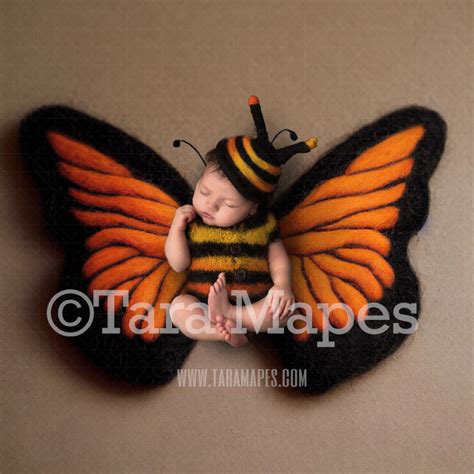 Needle Felted Butterfly Newborn Digital Backdrop Needle Felt