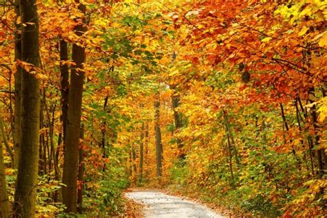 The 10 Best Places to Go for a Fall Foliage Road Trip | Engaging Car ...