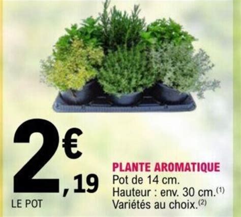 Promo Plante Aromatique Chez E Leclerc