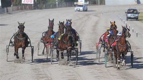 Gallery Terang Harness Racing Club