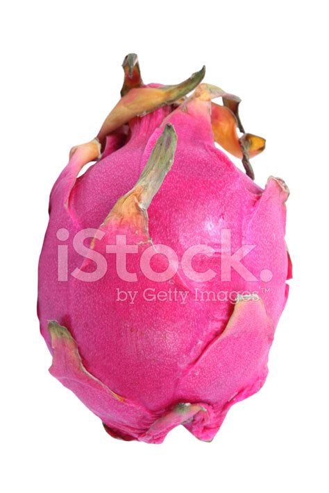 pitaya stock photo royalty  freeimages
