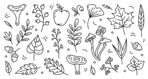 Premium Vector Vector Autumn Doodles Hand Drawn Autumn Elements