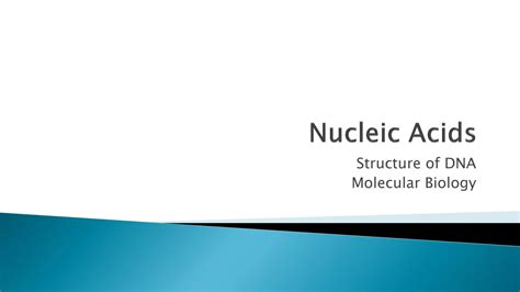 SOLUTION Nucleic Acids Studypool