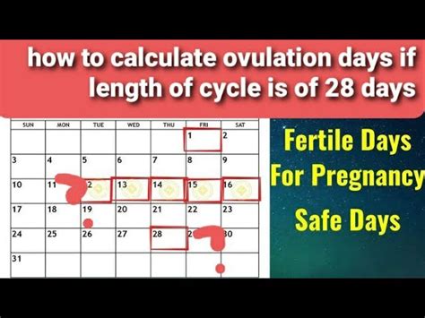 Menstrual Cycle Chart Safe Days