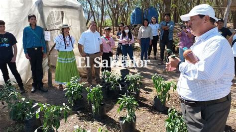 Diario El Salvador On Twitter En Poco M S De Un A O De Iniciado El