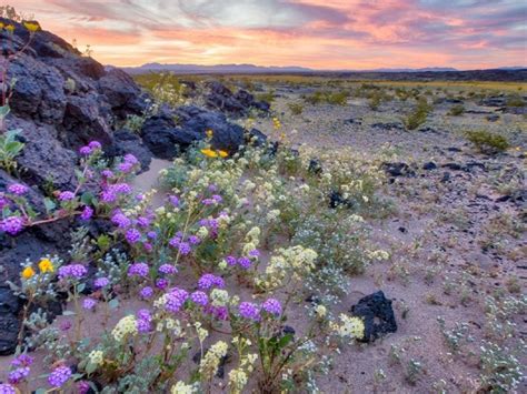 Blm Lands Trails Open But Campgrounds Closed 04 05 2020