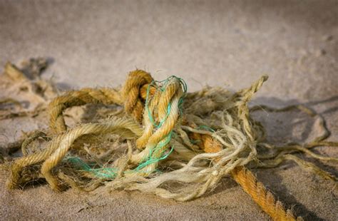 Best Out Of Waste Ideas Useful Items To Decorate Your Home