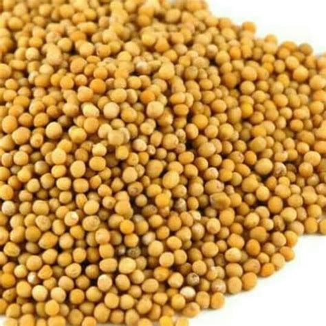 Jual Yellow Mustard Seeds Gram Mustard Seeds Biji Sawi Kuning