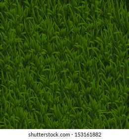 Green Grass Texture Vector Background Stock Vector (Royalty Free ...